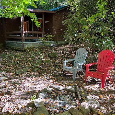 Cozy Cabin Pet Friendly Ada Compatible Maggie Valley Zewnętrze zdjęcie